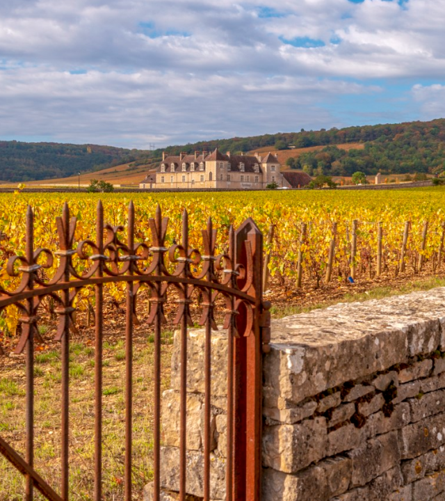 Clos de Vougeot