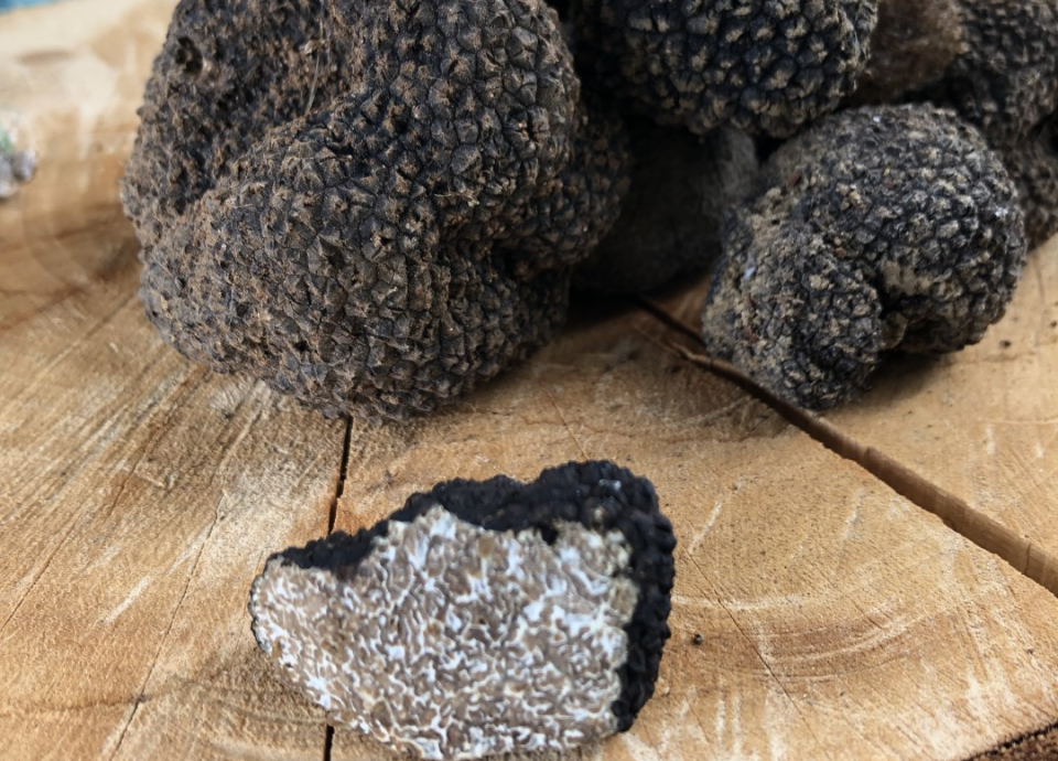 Truffelmarkt Noyers-sur-Serein