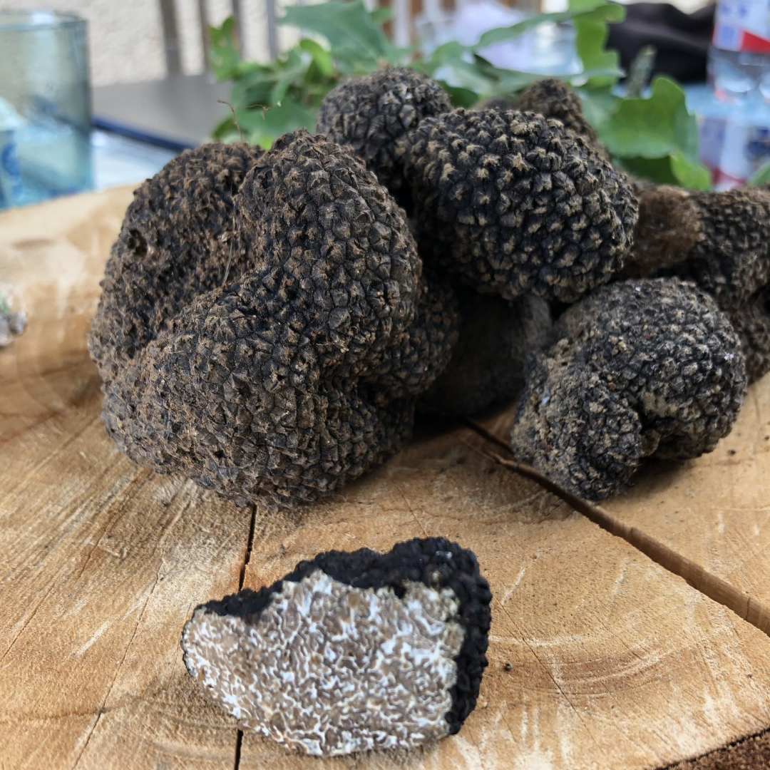 Truffelmarkt Noyers-sur-Serein