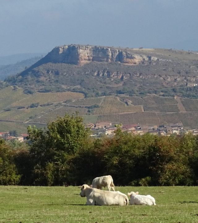 Naar de top van de Rots van Vergisson