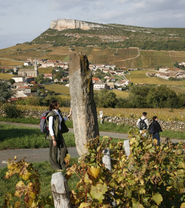 Bergkammen bij Solutré