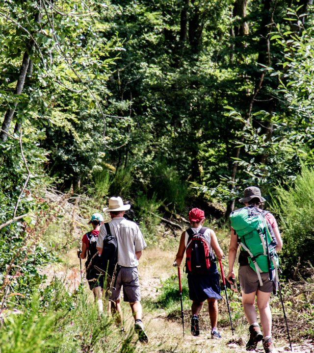 Wandelen tijdens uw vakantie in de Morvan en de rest van de Bourgogne ...