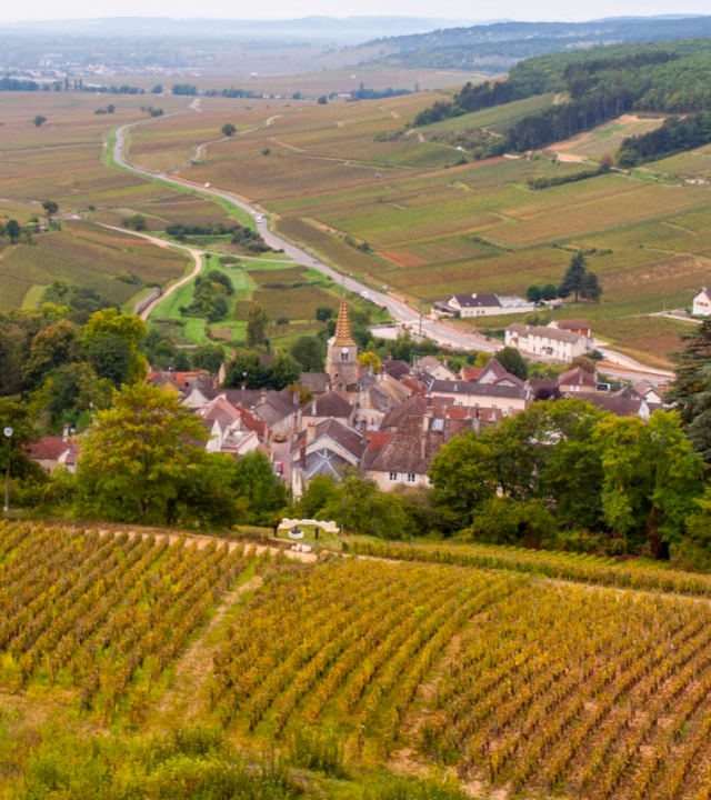 Wijngaarden rond de Heuvel van Corton