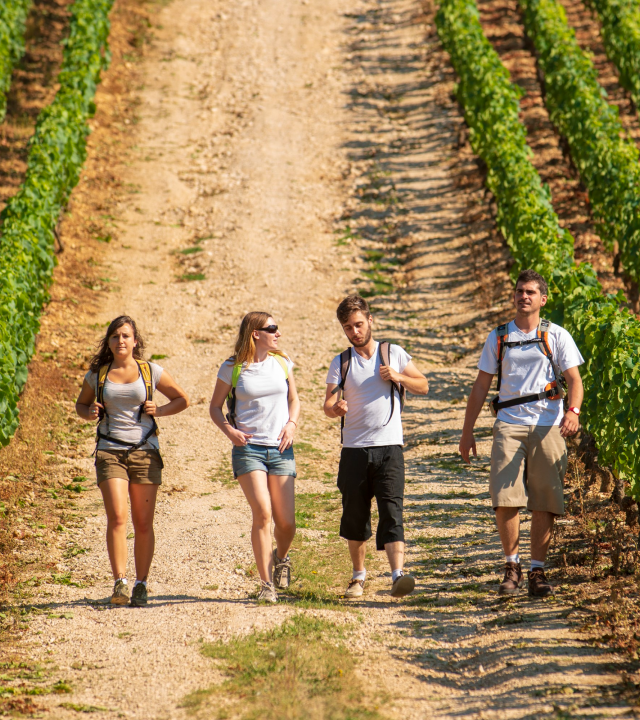 Wandelroutes Côte-d’Or