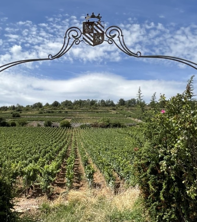 Wijngaarden Montrachet, in de voetsporen van de monniken