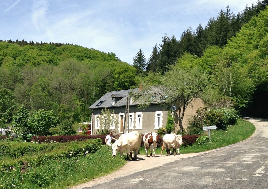 L'Ancienne Ecole