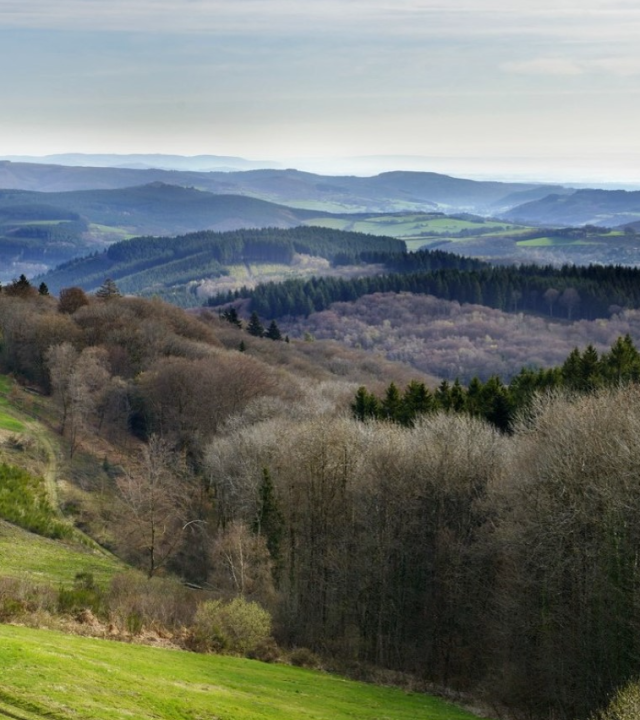 Grand Site Bibracte – Hoge Morvan