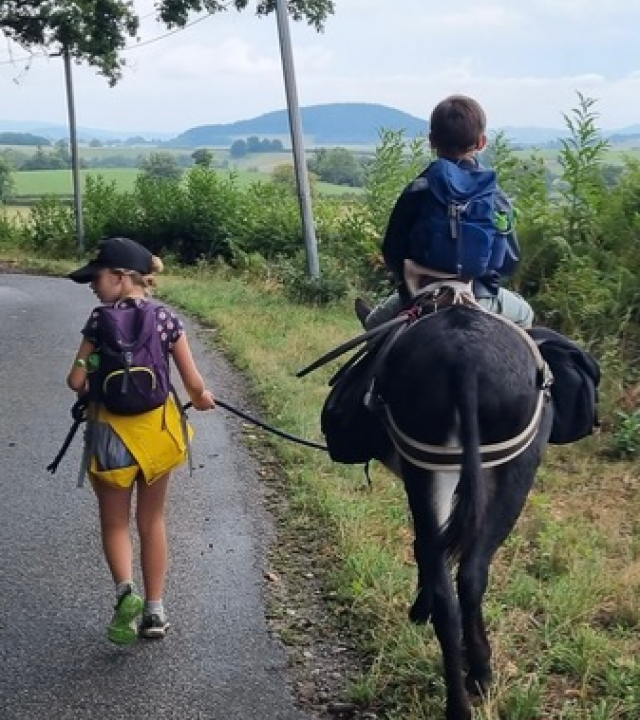 Wandelen met de ezels van Vincent