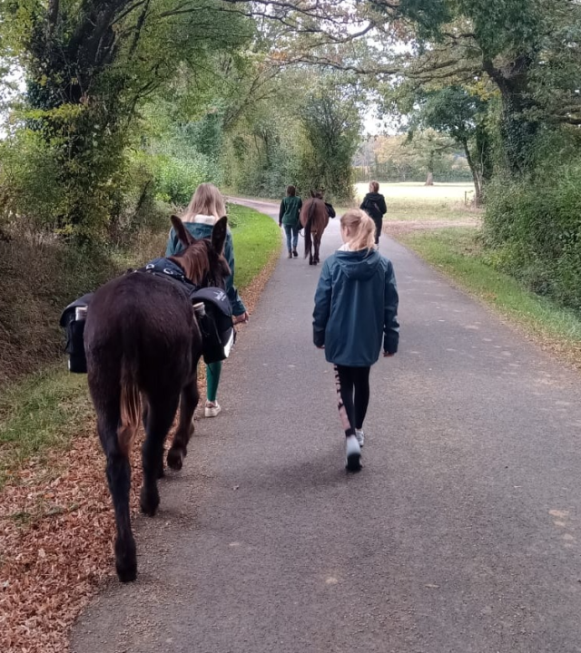 Wandelen met de ezels van Menou