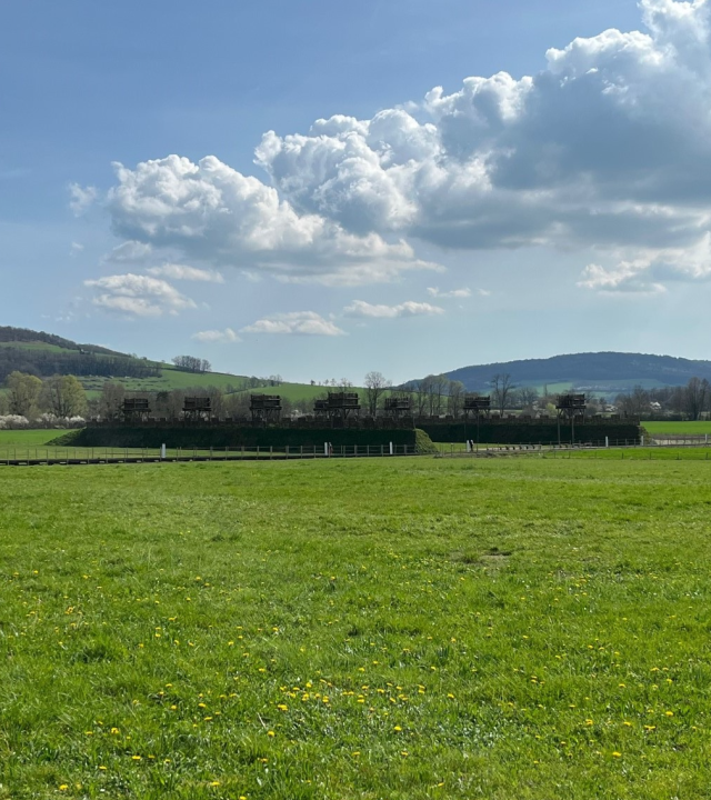 Bibracte – Alésia, in de voetsporen van de Galliërs