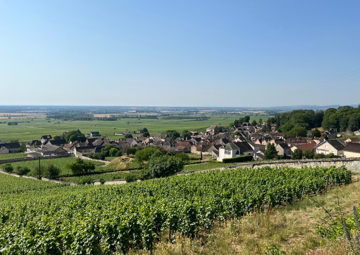 Volnay