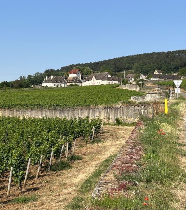 Volnay