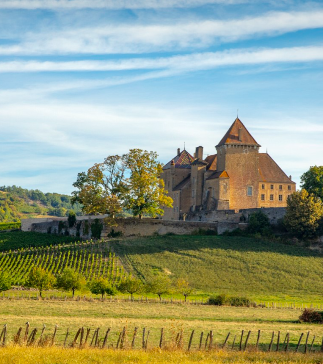Wijnroute Mâconnais