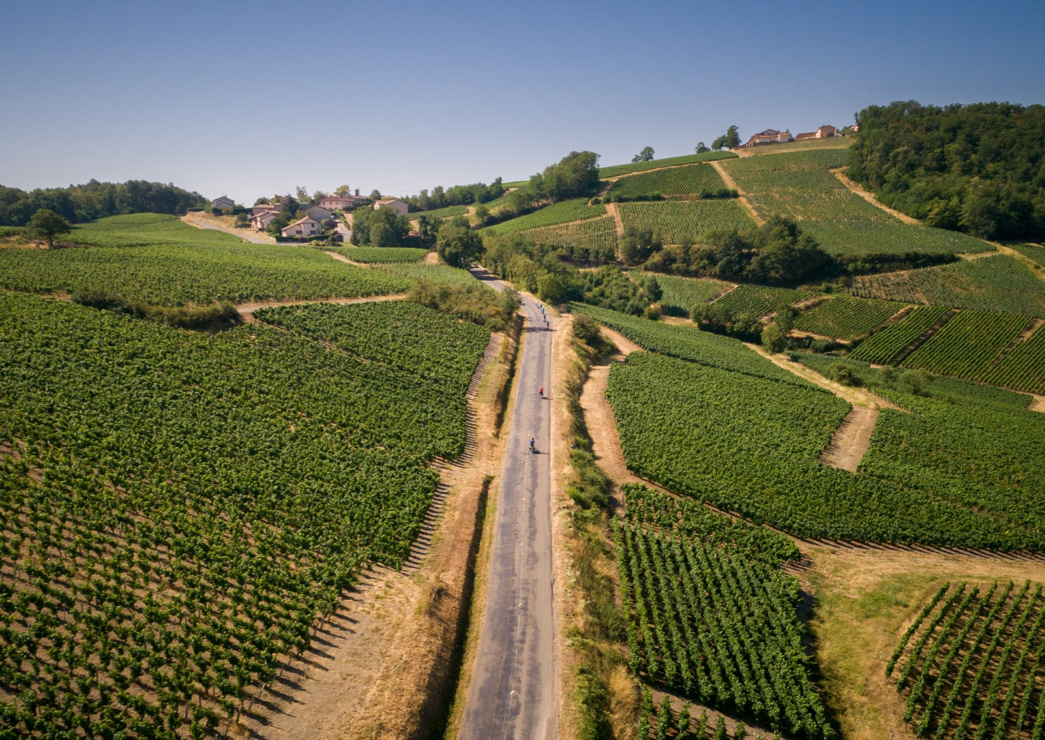 Wijnroute Côte Chalonnaise en Couchois