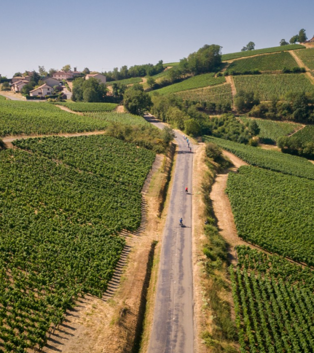 Wijnroute Côte Chalonnaise en Couchois