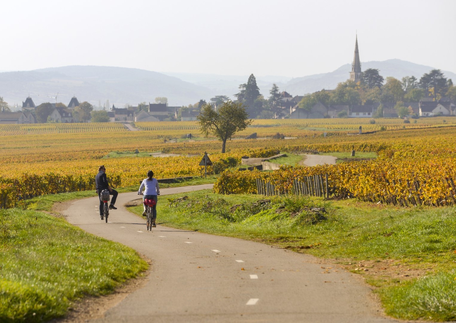 Wijnroute Beaune – Santenay - Nolay op de fiets