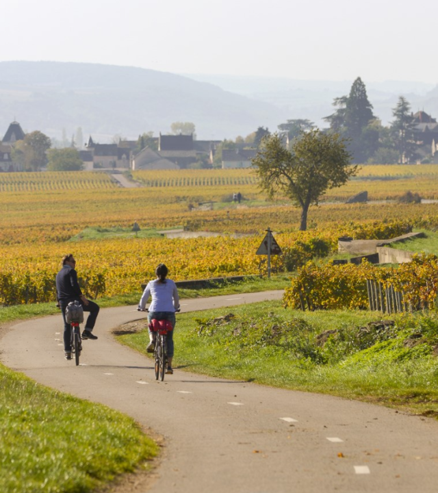 Wijnroute Beaune – Santenay - Nolay op de fiets