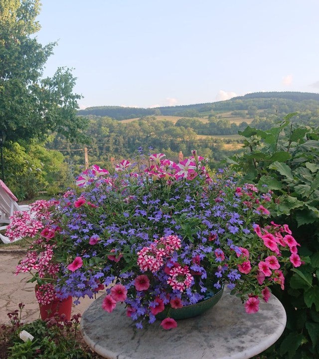 Theetuin Jardin de Thé