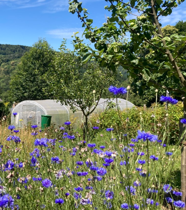 Fruittuin Au bois du Haut- Folin