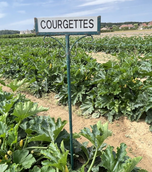 Pluktuin Jardin de Laborde