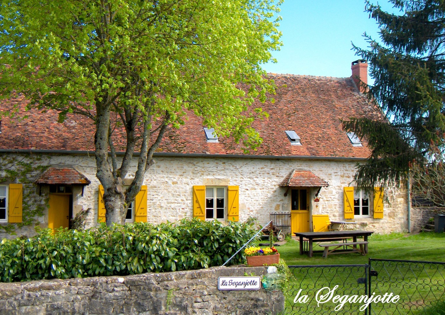 Esprit de Bourgogne: la Seganjotte en la Tourterelle