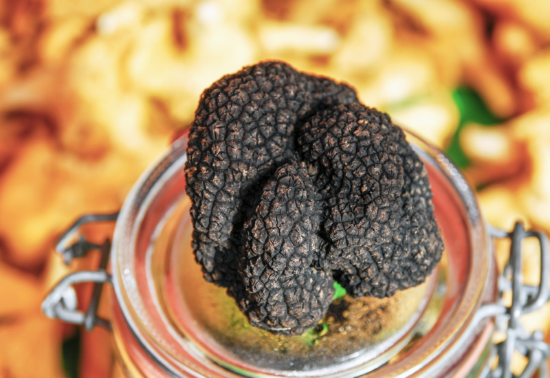 Een mager jaar voor de truffels